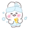 Perm Rabbit PongPong 16