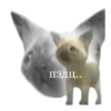 пздц..