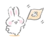 Conejo suave 18