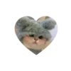💗kitties love 💗 @iamideas @iamstockroom 18