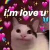 i'm love u wholesomexmemes