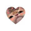 💗kitties love 💗 @iamideas @iamstockroom 21