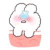 Perm Rabbit PongPong 19