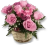 : Flowers 13