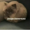 ухади ванючька