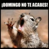 😂•Lunes de Memes•🤣 7
