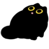 Owl Black Cat 16