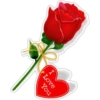 : Flowers 16