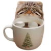Winter Manul 20