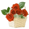 : Flowers 17