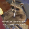 la vida es troncha toro y yo.. traigo trencitas