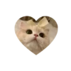 💗kitties love 💗 @iamideas @iamstockroom 23
