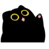 Owl Black Cat 18