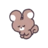 Baby squirrel ddarang 19