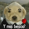 Y mis besos?