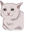 Michis cursed 25