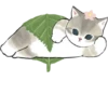 Kittens mofu_sand 2 22