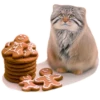 Winter Manul 22