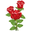 : Flowers 20