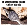 😂•Lunes de Memes•🤣 12
