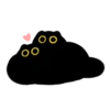 Owl Black Cat 21