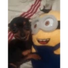 Minions Reacciones 💛 12