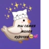 T ты самая милая курочка