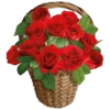 : Flowers 21