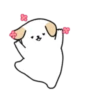 BOBA DOG 17