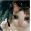Michis cursed 26