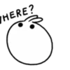 snowball rabbit Tomung! 16