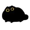 Owl Black Cat 24