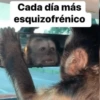 Monitos random 🙈 12
