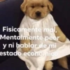 Fisicamente mal, Mentalmente peor y ni hablar de mi estado económico