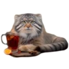 Winter Manul 24