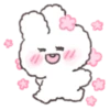 Perm Rabbit PongPong 27