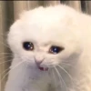 JinHit? 25
