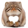 Winter Manul 25