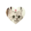 💗kitties love 💗 @iamideas @iamstockroom 26