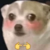 GÐ