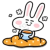 little Bunny BBoy 20