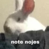 note nojes
