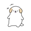 BOBA DOG 19