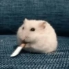 Ratitas🐁🐭🩶 23