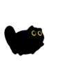 Owl Black Cat 29