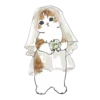 💗🐈 @meowk1ss :: 27