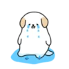 BOBA DOG 21