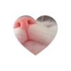 💗kitties love 💗 @iamideas @iamstockroom 27