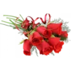 : Flowers 24