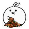 snowball rabbit Tomung! 22